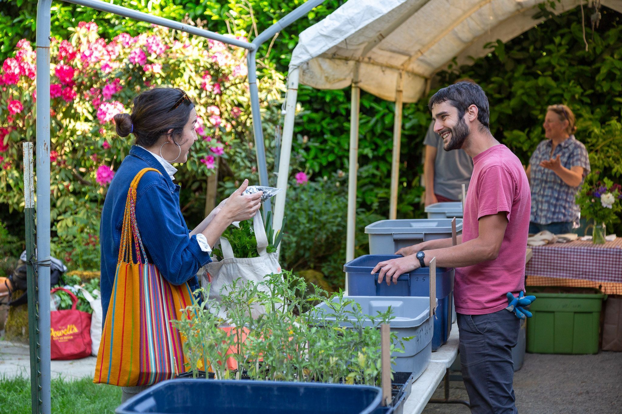 Talking veggies at our SE CSA pickup: 47th Avenue Farm, Portland Oregon (photo © Matt Giraud)