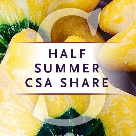 47th Avenue Farm's Half Summer CSA Share – great for two people