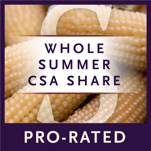 47th Avenue Farm's Pro-rated Whole Summer CSA Share – great for families