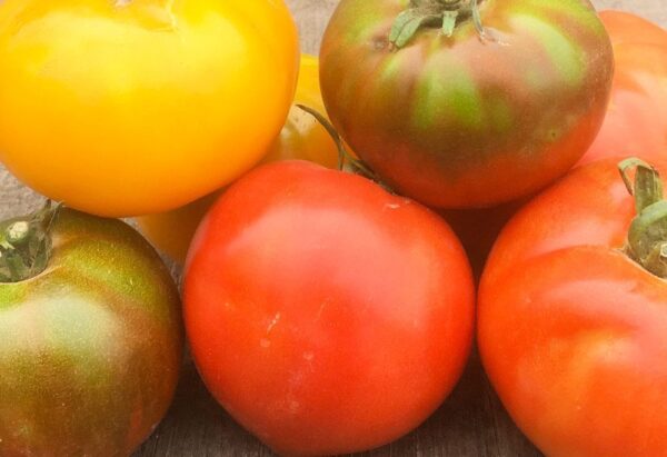 Heirloom tomatoes from 47th Ave Farm